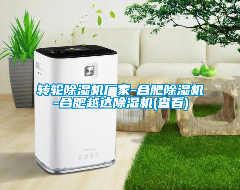 轉(zhuǎn)輪除濕機(jī)廠(chǎng)家-合肥除濕機(jī)-合肥越達(dá)除濕機(jī)(查看)