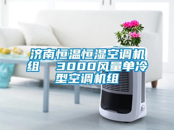 濟南恒溫恒濕空調(diào)機組  3000風量單冷型空調(diào)機組