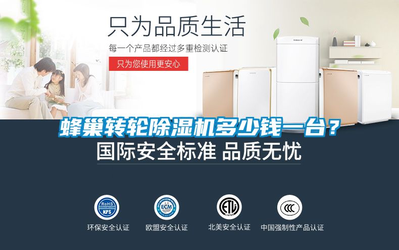 蜂巢轉輪除濕機多少錢一臺？