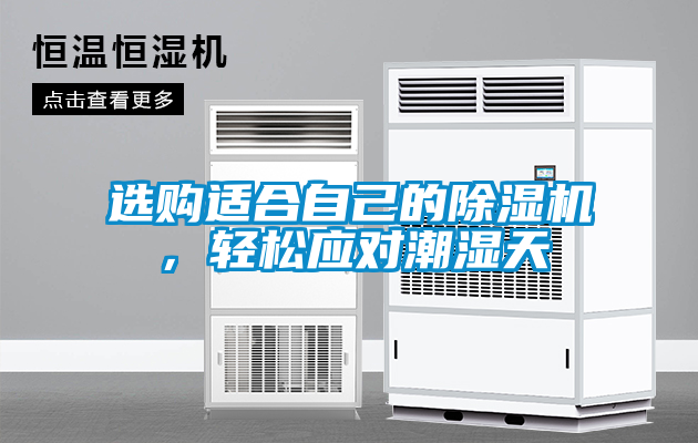 選購適合自己的除濕機，輕松應(yīng)對潮濕天