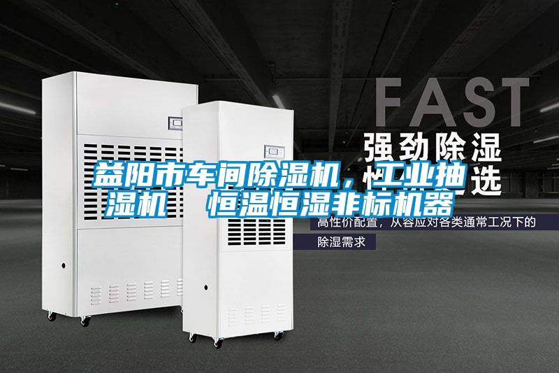 益陽市車間除濕機，工業(yè)抽濕機  恒溫恒濕非標機器