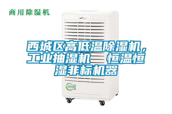 西城區(qū)高低溫除濕機，工業(yè)抽濕機  恒溫恒濕非標(biāo)機器