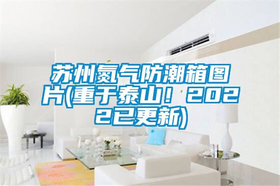 蘇州氮?dú)夥莱毕鋱D片(重于泰山！2022已更新)