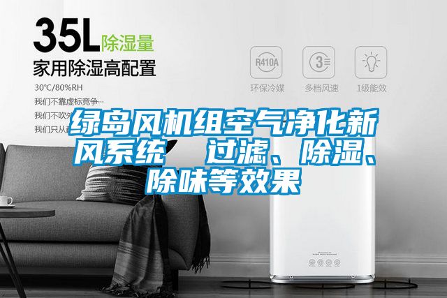 綠島風(fēng)機(jī)組空氣凈化新風(fēng)系統(tǒng)  過(guò)濾、除濕、除味等效果