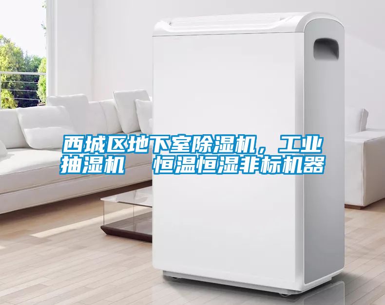 西城區(qū)地下室除濕機，工業(yè)抽濕機  恒溫恒濕非標(biāo)機器