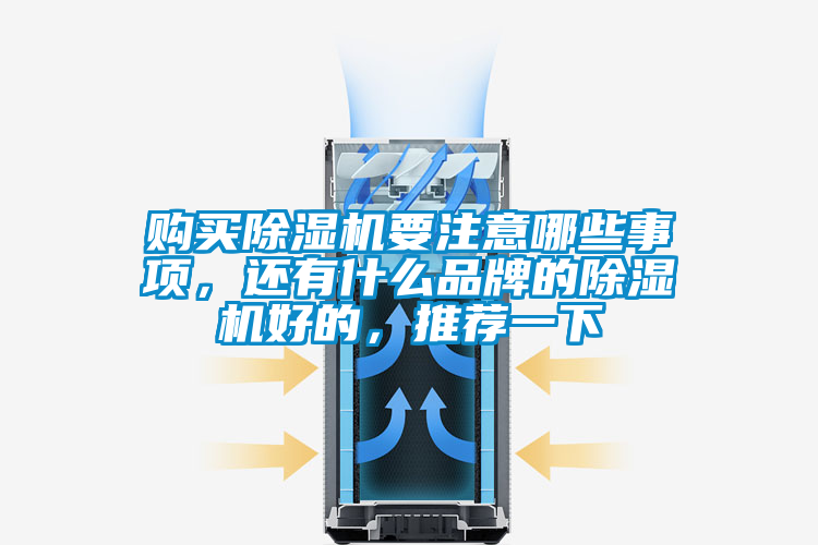 購買除濕機(jī)要注意哪些事項(xiàng)，還有什么品牌的除濕機(jī)好的，推薦一下