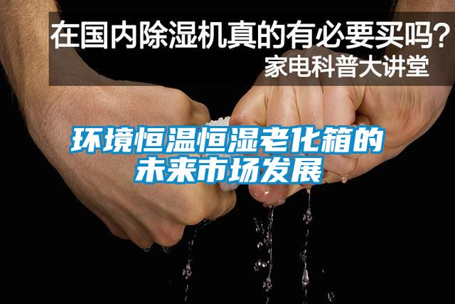 環(huán)境恒溫恒濕老化箱的未來(lái)市場(chǎng)發(fā)展