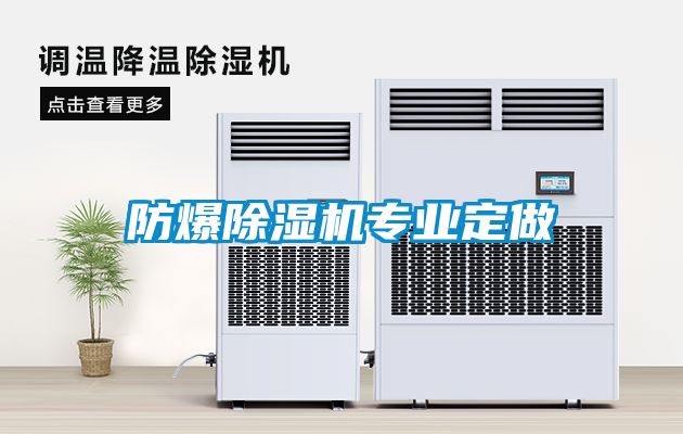 防爆除濕機專業(yè)定做