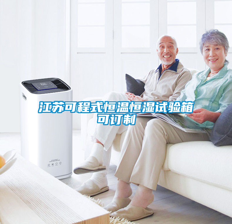 江蘇可程式恒溫恒濕試驗(yàn)箱可訂制