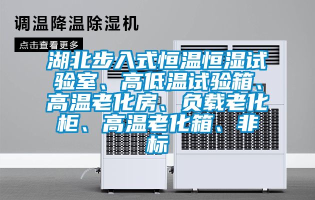湖北步入式恒溫恒濕試驗室、高低溫試驗箱、高溫老化房、負載老化柜、高溫老化箱、非標