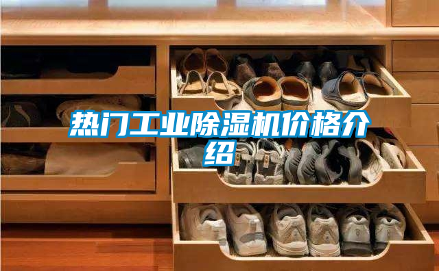 熱門工業(yè)除濕機(jī)價格介紹