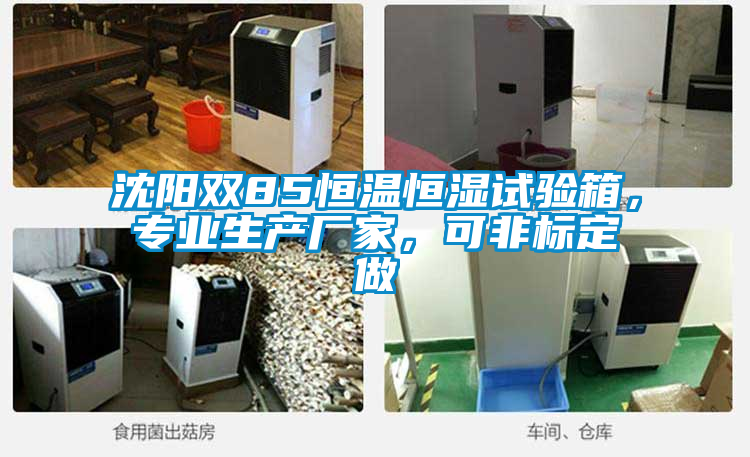 沈陽雙85恒溫恒濕試驗箱，專業(yè)生產(chǎn)廠家，可非標(biāo)定做
