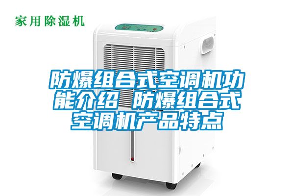 防爆組合式空調(diào)機功能介紹 防爆組合式空調(diào)機產(chǎn)品特點