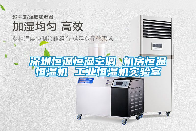 深圳恒溫恒濕空調(diào) 機(jī)房恒溫恒濕機(jī) 工業(yè)恒濕機(jī)實驗室