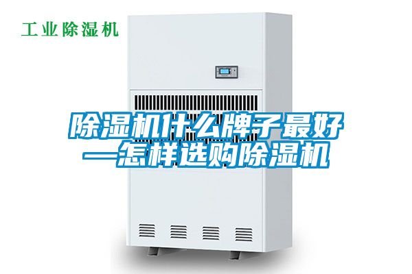 除濕機(jī)什么牌子最好—怎樣選購除濕機(jī)