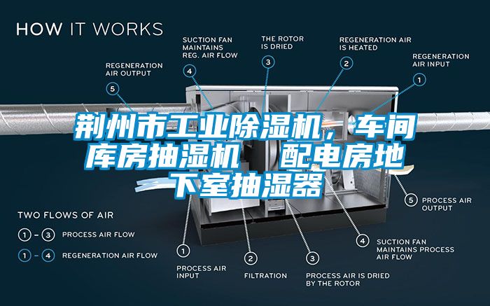 荊州市工業(yè)除濕機，車間庫房抽濕機  配電房地下室抽濕器