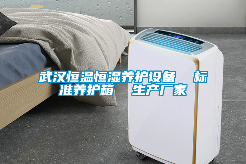 武漢恒溫恒濕養(yǎng)護(hù)設(shè)備  標(biāo)準(zhǔn)養(yǎng)護(hù)箱  生產(chǎn)廠(chǎng)家