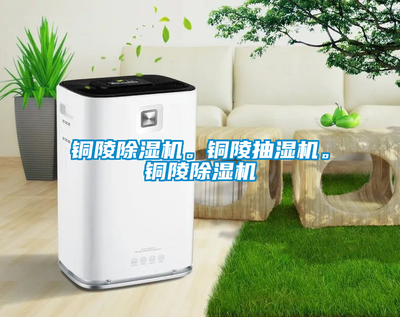 銅陵除濕機(jī)。銅陵抽濕機(jī)。銅陵除濕機(jī)