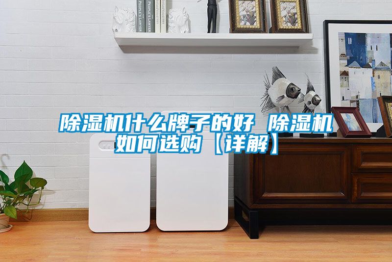 除濕機(jī)什么牌子的好 除濕機(jī)如何選購【詳解】