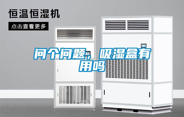 問個問題，吸濕盒有用嗎