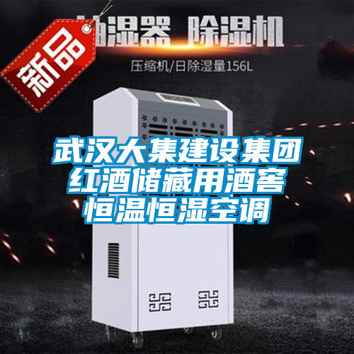 武漢大集建設(shè)集團(tuán)紅酒儲(chǔ)藏用酒窖恒溫恒濕空調(diào)