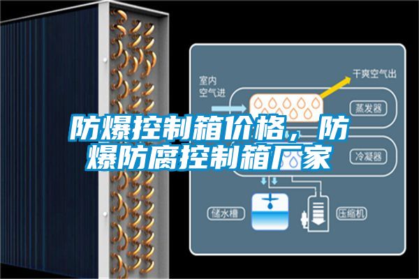 防爆控制箱價(jià)格，防爆防腐控制箱廠家