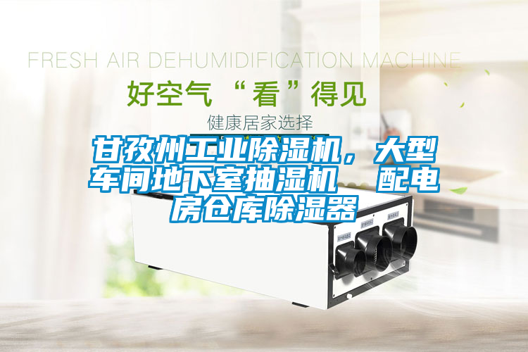 甘孜州工業(yè)除濕機(jī)，大型車間地下室抽濕機(jī)  配電房倉庫除濕器