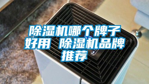 除濕機(jī)哪個(gè)牌子好用 除濕機(jī)品牌推薦