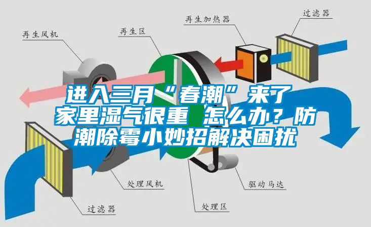 進(jìn)入三月“春潮”來(lái)了 家里濕氣很重 怎么辦？防潮除霉小妙招解決困擾