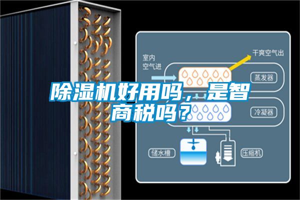 除濕機(jī)好用嗎，是智商稅嗎？