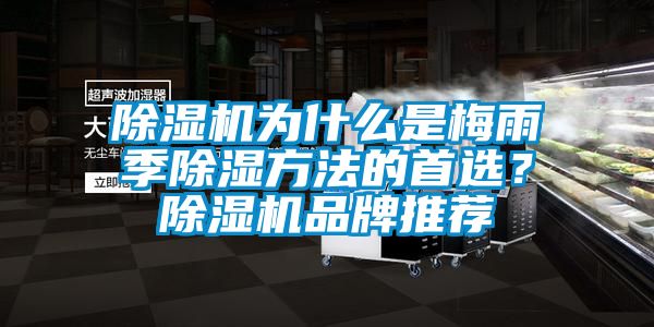 除濕機為什么是梅雨季除濕方法的首選？除濕機品牌推薦