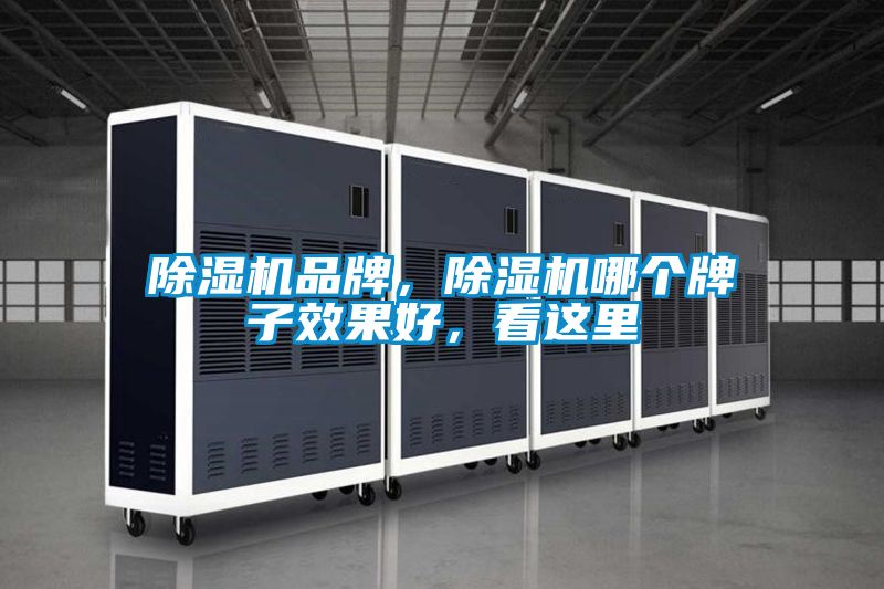 除濕機品牌，除濕機哪個牌子效果好，看這里