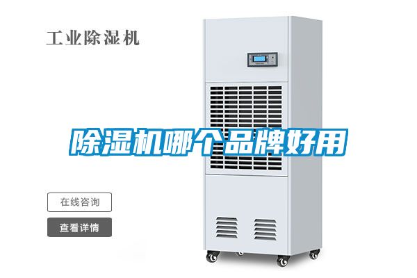 除濕機(jī)哪個(gè)品牌好用