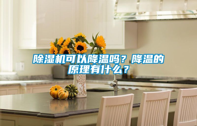除濕機(jī)可以降溫嗎？降溫的原理有什么？