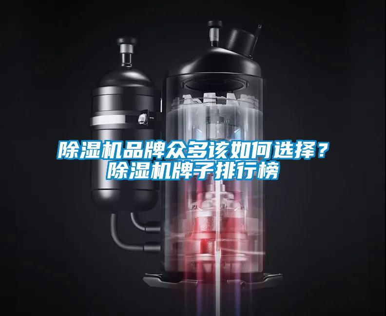 除濕機品牌眾多該如何選擇？除濕機牌子排行榜