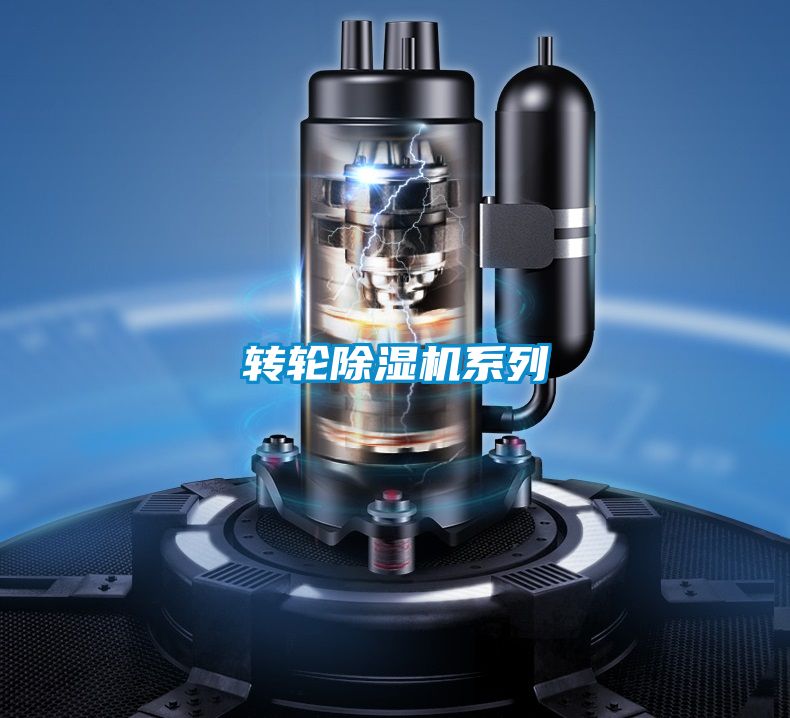 轉(zhuǎn)輪除濕機系列