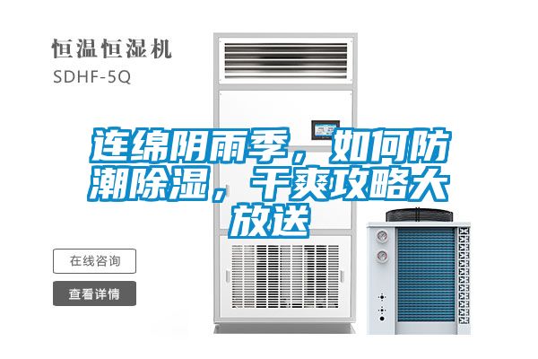 連綿陰雨季，如何防潮除濕，干爽攻略大放送