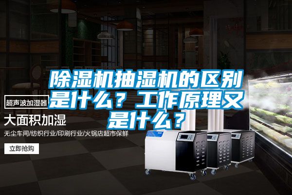 除濕機(jī)抽濕機(jī)的區(qū)別是什么？工作原理又是什么？