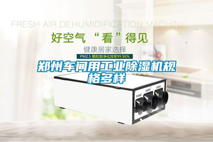 鄭州車間用工業(yè)除濕機規(guī)格多樣