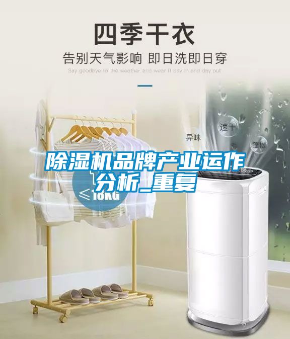 除濕機品牌產(chǎn)業(yè)運作分析_重復(fù)