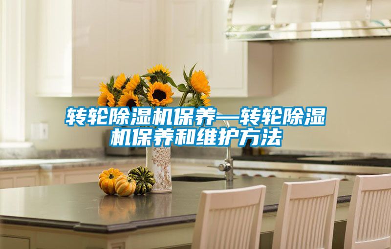 轉(zhuǎn)輪除濕機保養(yǎng)—轉(zhuǎn)輪除濕機保養(yǎng)和維護方法