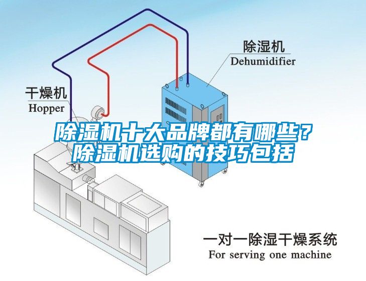 除濕機(jī)十大品牌都有哪些？除濕機(jī)選購的技巧包括