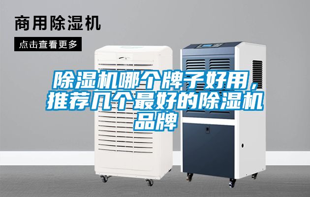 除濕機哪個牌子好用，推薦幾個最好的除濕機品牌