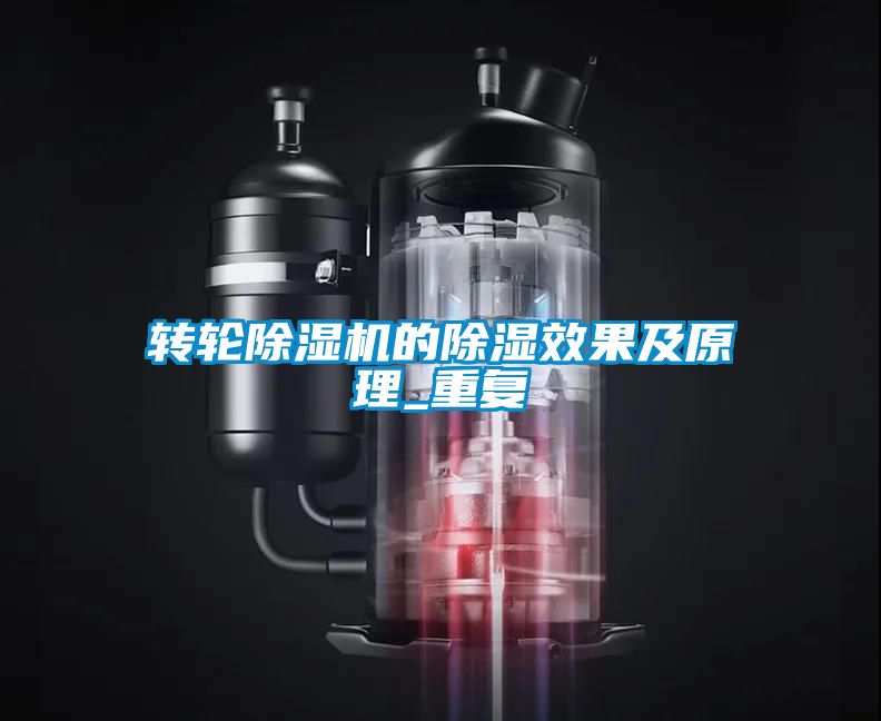 轉(zhuǎn)輪除濕機的除濕效果及原理_重復