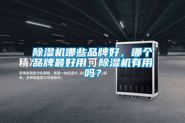 除濕機(jī)哪些品牌好，哪個(gè)品牌最好用，除濕機(jī)有用嗎？