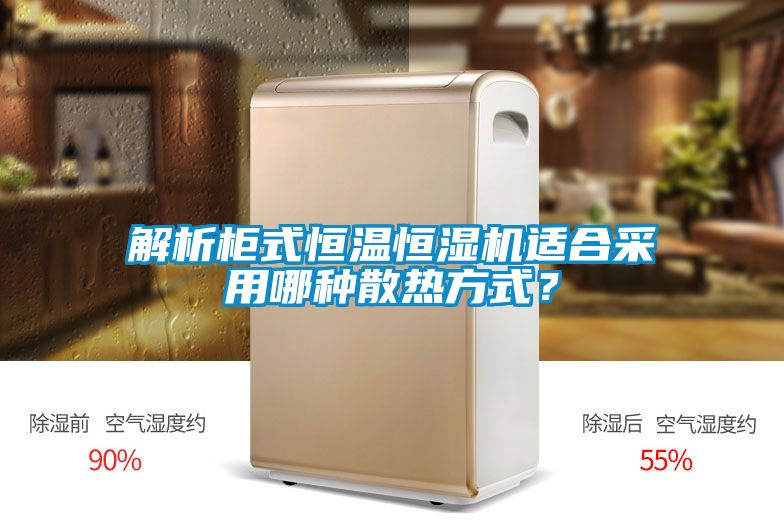 解析柜式恒溫恒濕機(jī)適合采用哪種散熱方式？