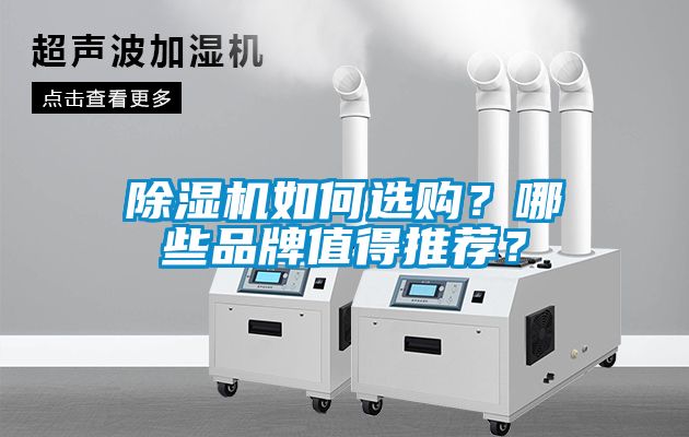 除濕機如何選購？哪些品牌值得推薦？