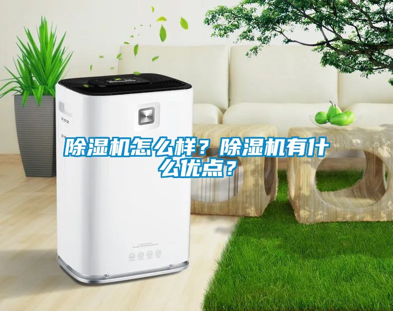 除濕機怎么樣？除濕機有什么優(yōu)點？