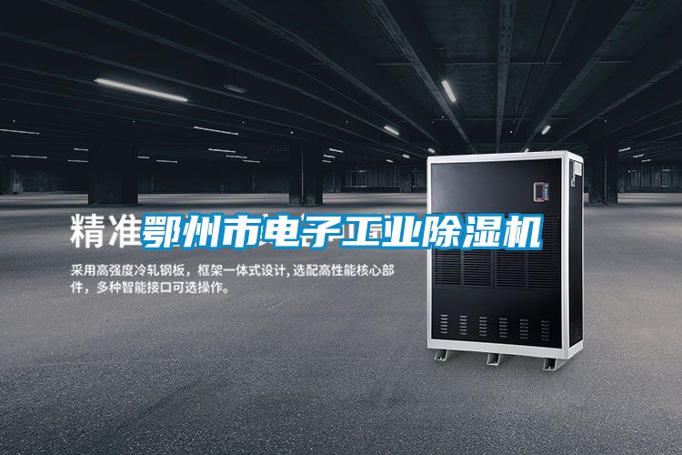 鄂州市電子工業(yè)除濕機
