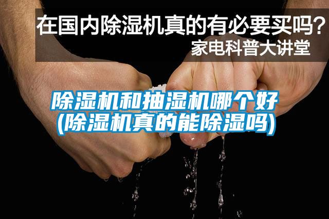 除濕機(jī)和抽濕機(jī)哪個好(除濕機(jī)真的能除濕嗎)